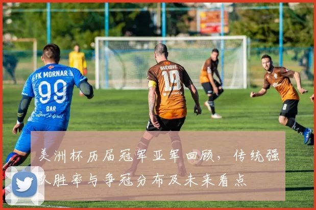 美洲杯历届冠军亚军回顾,传统强队胜率与争冠分布及未来看点