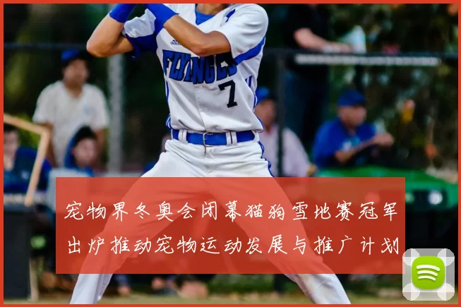 宠物界冬奥会闭幕猫狗雪地赛冠军出炉推动宠物运动发展与推广计划启动