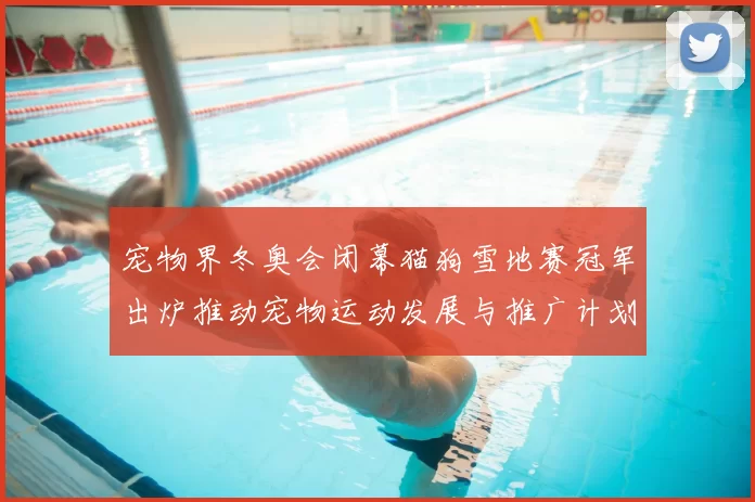 宠物界冬奥会闭幕猫狗雪地赛冠军出炉推动宠物运动发展与推广计划启动