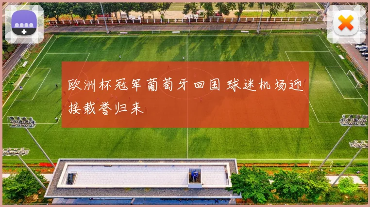 欧洲杯冠军葡萄牙回国 球迷机场迎接载誉归来