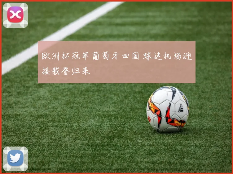 欧洲杯冠军葡萄牙回国 球迷机场迎接载誉归来