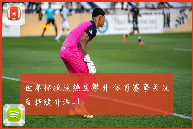 世界杯投注热度攀升 体育赛事关注度持续升温_1